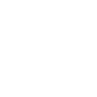 Privacy Icon